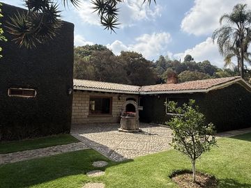 Vista Al bosque