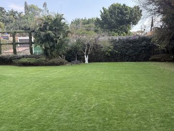 Vista Al bosque