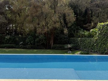 Vista Al bosque