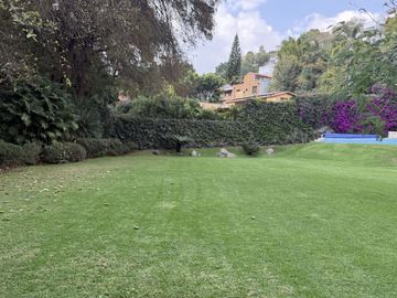 Vista Al bosque