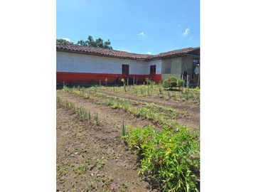 Finca Productiva A La Venta Quimbaya Quindío