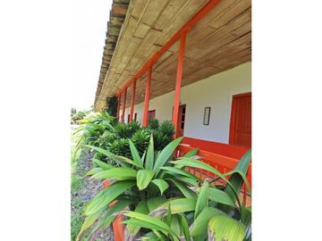 Finca Productiva A La Venta Quimbaya Quindío