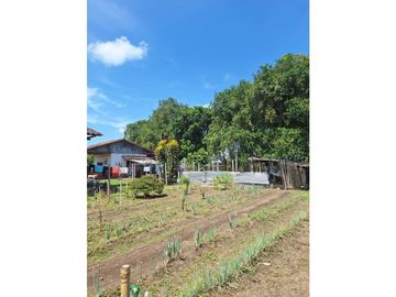 Finca Productiva A La Venta Quimbaya Quindío