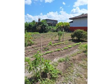 Finca Productiva A La Venta Quimbaya Quindío