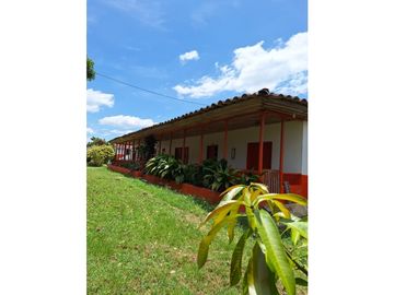 Finca Productiva A La Venta Quimbaya Quindío