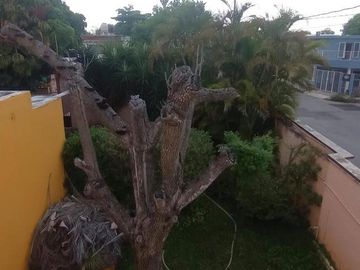 CASA EN VENTA UBICADA EN ESQUINA CON GRAN TERRENO DE 800 M2  / SAN DAMIÁN