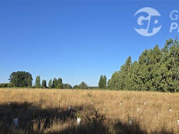Agrícola en Venta en Huerto Patagonia