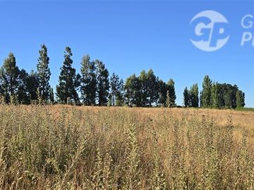 Agrícola en Venta en Huerto Patagonia
