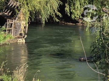 Agrícola en Venta en Huerto Patagonia