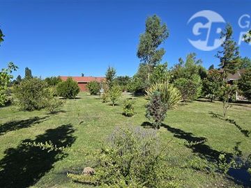 Agrícola en Venta en Camino a Villucura km 16,7