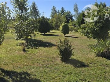 Agrícola en Venta en Camino a Villucura km 16,7