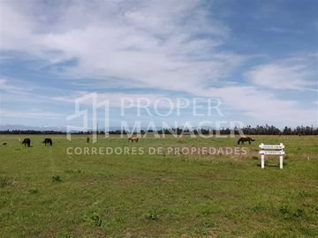 Parcela en Venta en Parcelas Capilla Zañartu - Rol Propio - Crédito Directo