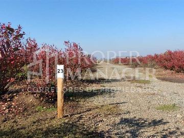 Parcela en Venta en Parcelas Silos de Cato - 5.000m2 - Credito Directo
