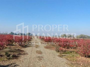 Parcela en Venta en Parcelas Silos de Cato - 5.000m2 - Credito Directo