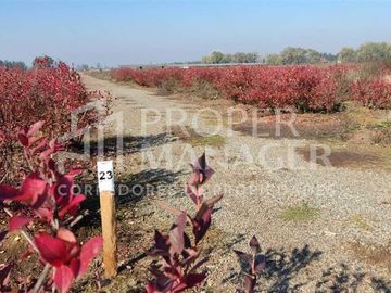 Parcela en Venta en Parcelas Silos de Cato - 5.000m2 - Credito Directo