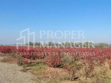 Parcela en Venta en Parcelas Silos de Cato - 5.000m2 - Credito Directo