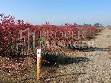Parcela en Venta en Parcelas Silos de Cato - 5.000m2 - Credito Directo