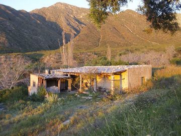 Terreno - Arauco