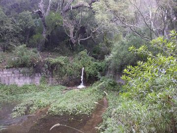 Terreno - Arauco