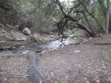 Terreno - Arauco