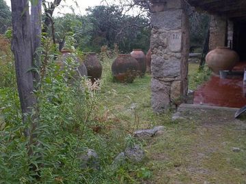 Terreno - Arauco