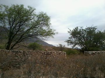 Terreno - Arauco