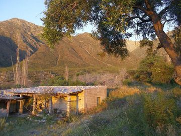 Terreno - Arauco