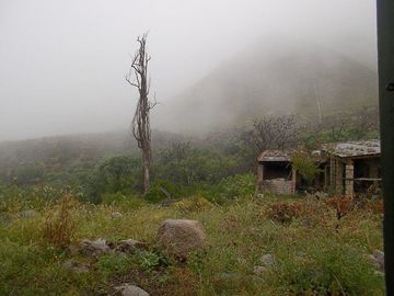Terreno - Arauco