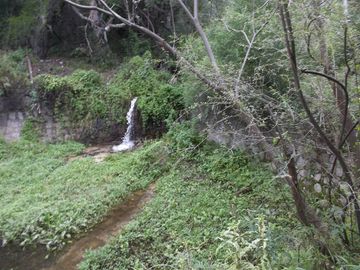 Terreno - Arauco