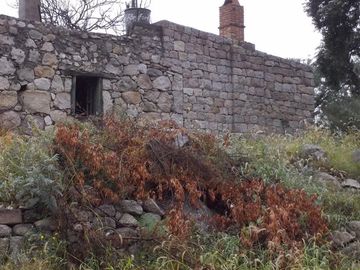 Terreno - Arauco