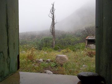 Terreno - Arauco