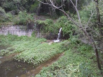 Terreno - Arauco