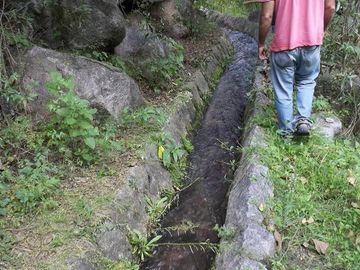 Terreno - Arauco