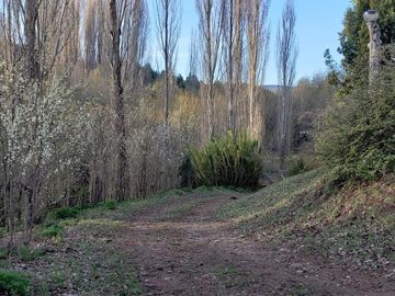 Chacra - El Bolson