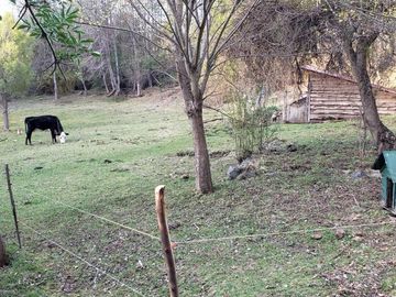 Chacra - El Bolson