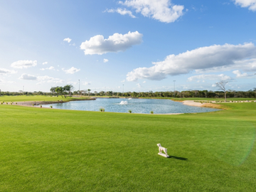 Casa en Club de Golf Provincia (PREVENTA)