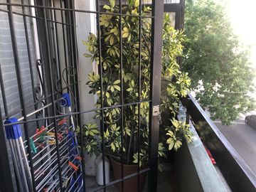 Departamento - Villa del Parque Pedro lozano y Campana inmejorable ubicación!!!! 4 amb frente con balcón