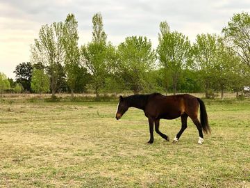LOTES FINANCIADOS - Barrio El Paso,  Del Viso