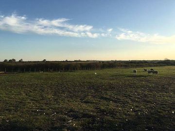 Casa - Gualeguaychu