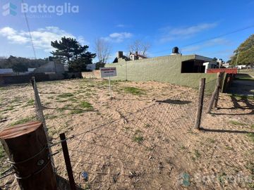 Excelentes 4 lotes!!!! San bernardo