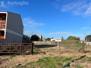Excelentes 4 lotes!!!! San bernardo