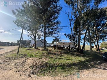 Excelentes 4 lotes!!!! San bernardo