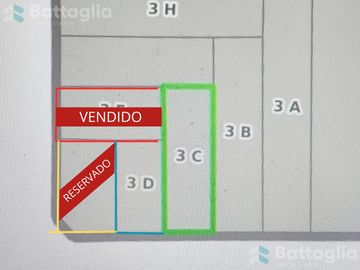 Excelentes 4 lotes!!!! San bernardo