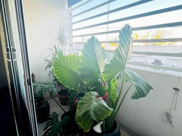 Departamento en  venta Alberdi Rosario 1 dormitorio