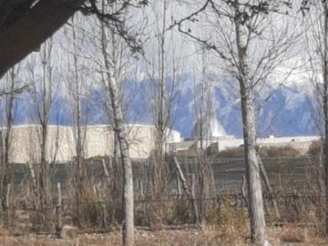 Se Vende Finca de 170ha con Plantaciones de Ajo en San Carlos, Mendoza