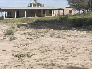 Se Vende Finca de 170ha con Plantaciones de Ajo en San Carlos, Mendoza