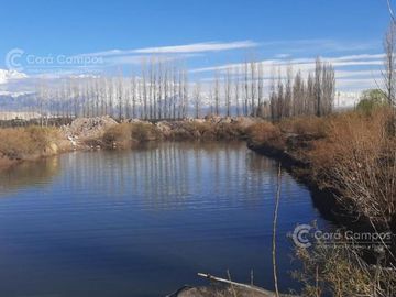 Se Vende Finca de 170ha con Plantaciones de Ajo en San Carlos, Mendoza