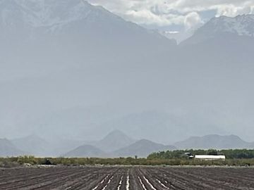 Se Vende Finca de 170ha con Plantaciones de Ajo en San Carlos, Mendoza