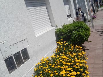 PH en venta - 3 Dormitorios 1 Baño - Cochera - 67mts2 - Puerto, Mar del Plata