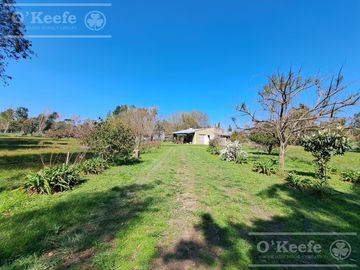 Casa quinta en venta, Brandsen- Ideal Granja, Emprendimiento !!!!